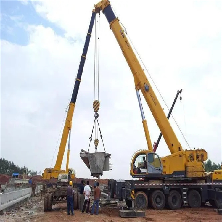 袁州小型吊机出租电话|厂房设备吊装方案|24小时服务覆盖